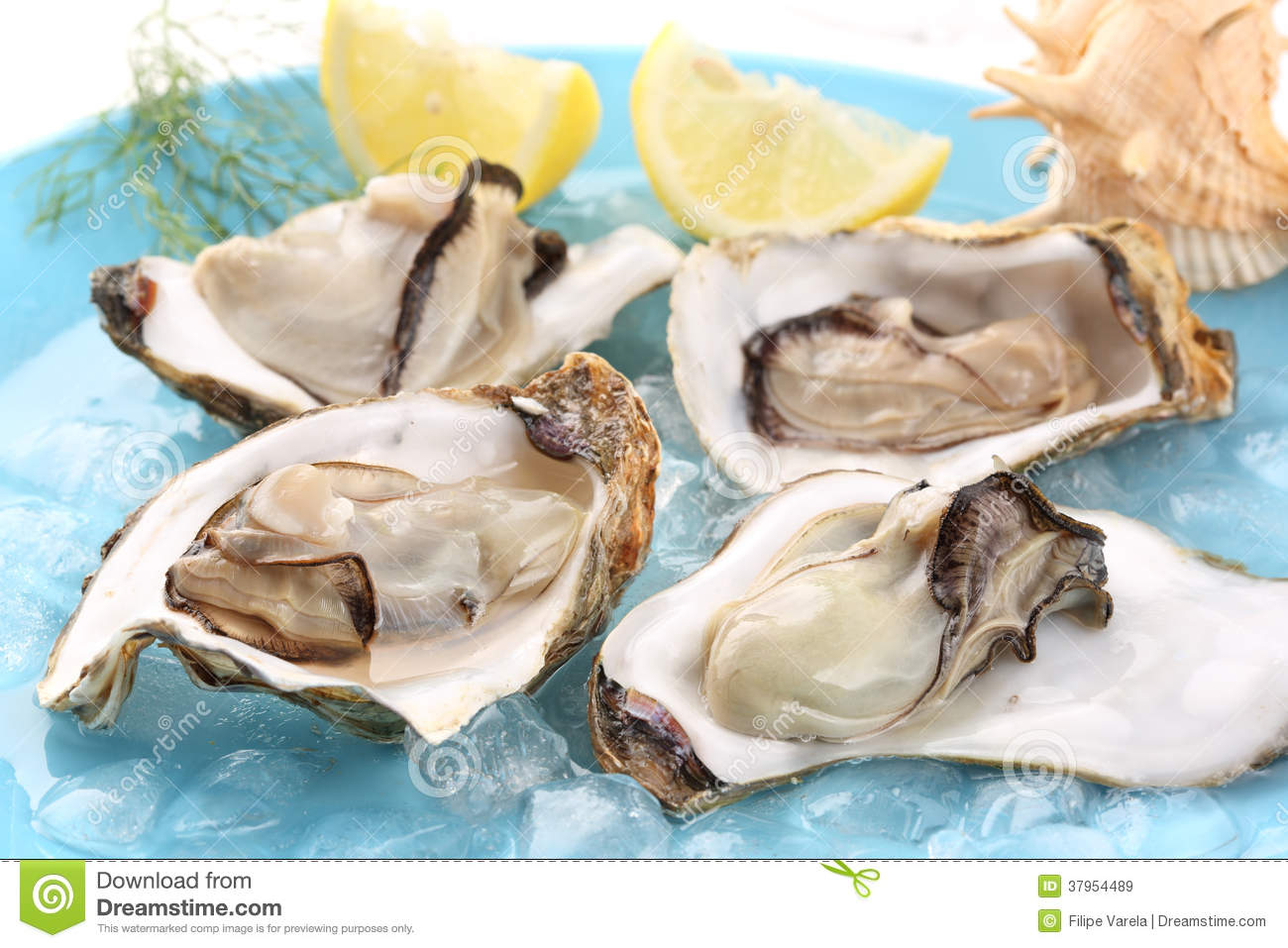 Royalty Free Stock Images  Very Fresh Steamed Oysters With Lemon Juice