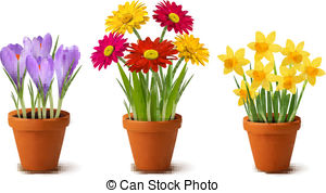 Spring Colorful Flowers In Pots Stock Illustrations