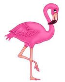 Flamingo   Clipart Graphic