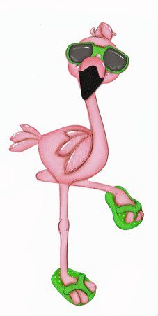 Flamingos On Pinterest   49 Photos On Flamingos Pink Flamingos And