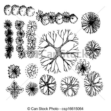 Landscaping Clipart Tree Vector   Trees Top View For