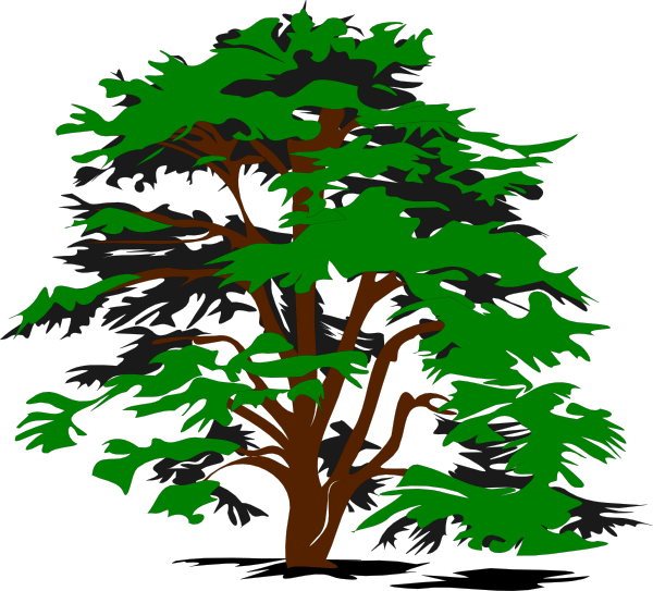 Simple Tree Clip Art At Clker Com   Vector Clip Art Online Royalty