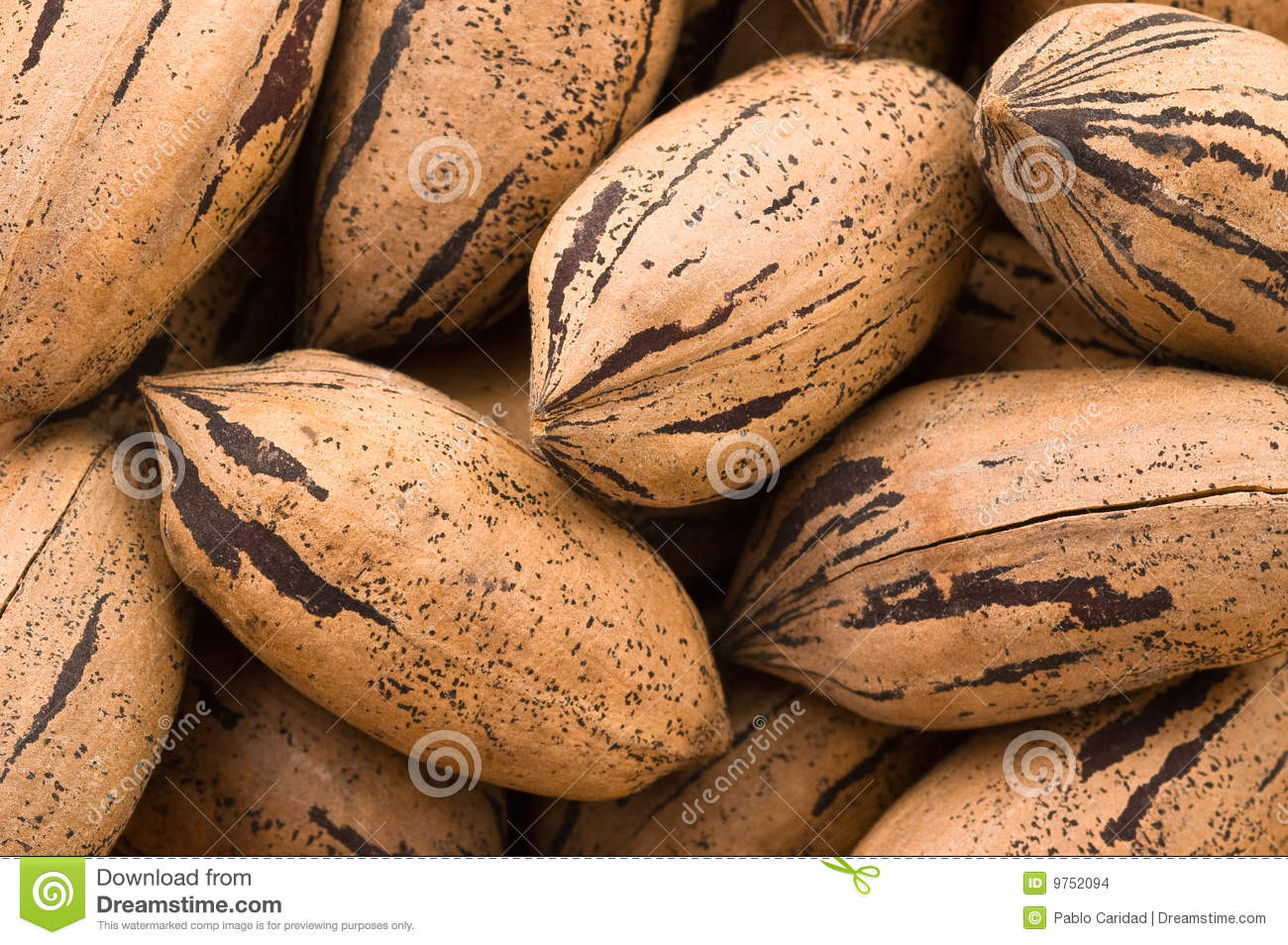 Background Of Pecan Nuts Stock Images   Image  9752094