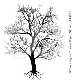 Bcco  On Pinterest   Tree Silhouette Clip Art And Free Illustrations