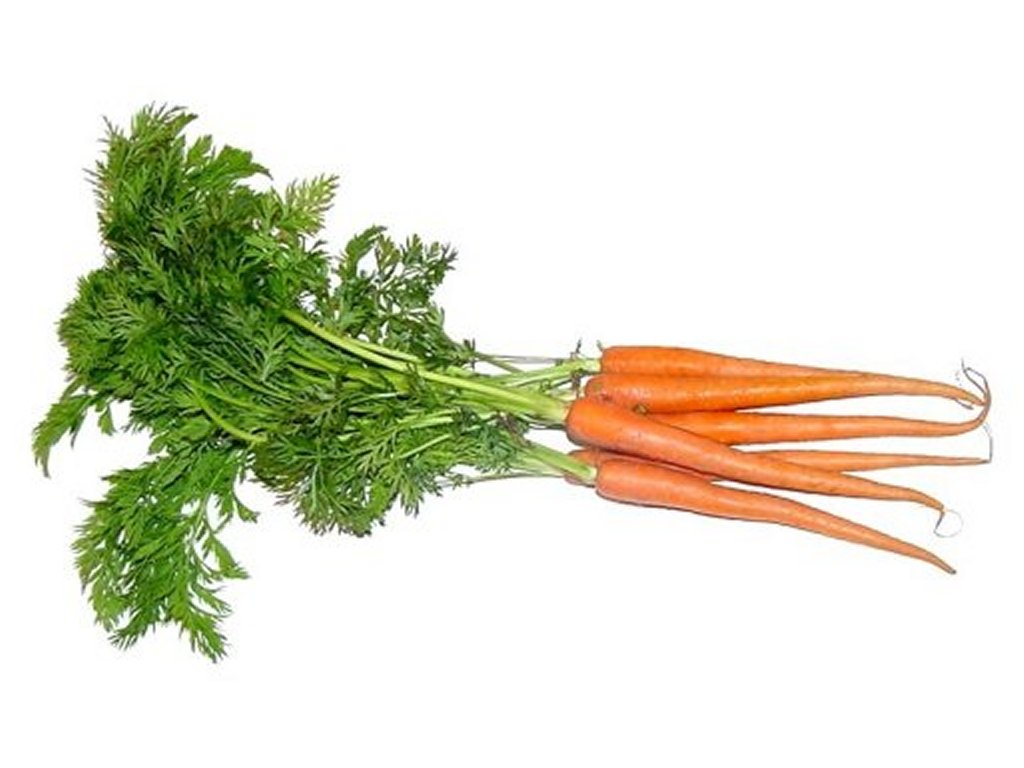 Carrots Clip Art Pictures   Free Quality Clipart