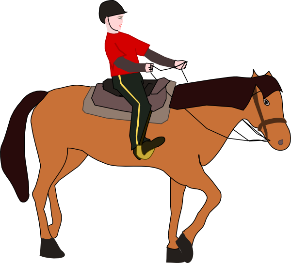 Horse Riding Lesson Clip Art At Clker Com   Vector Clip Art Online