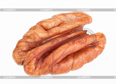 Pecan Nut Core On White   High Resolution Stock Photo   Cliparto