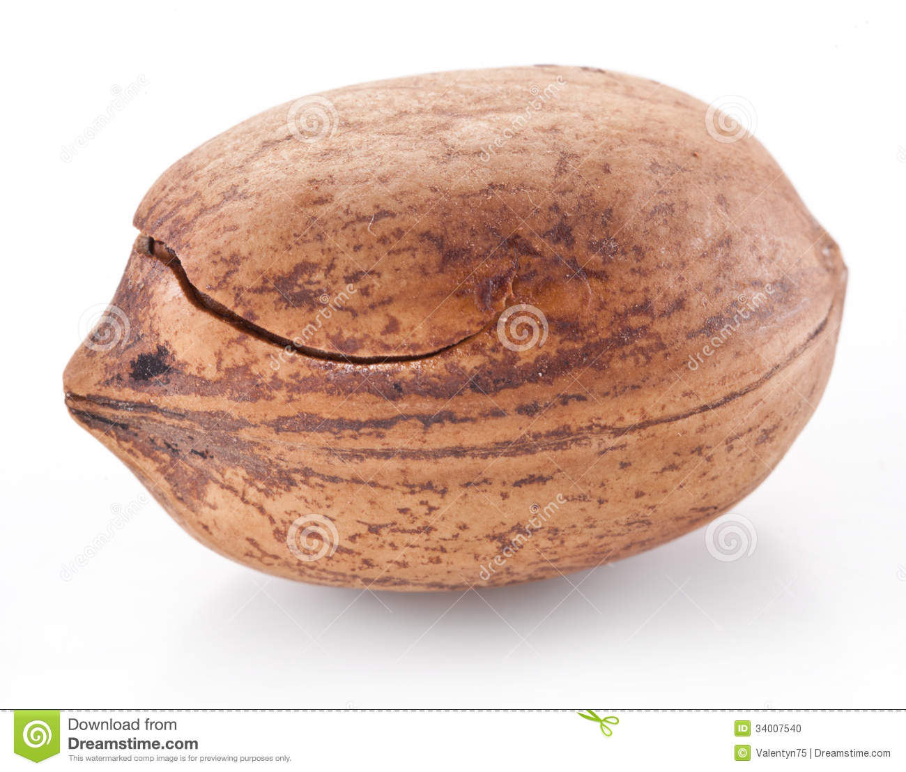 Pecan Nut With Crack Isolated On A White Background
