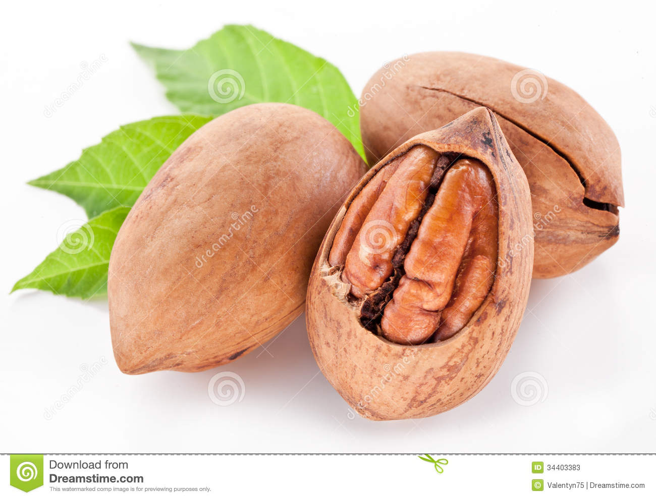 Pecan Nuts With Leaves  Stock Photos   Image  34403383