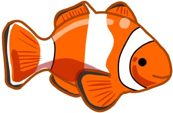 Clip Art Of An Orange And White Clownfish Like In Finding Nemo