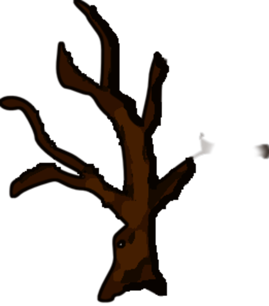 Dead Tree Image