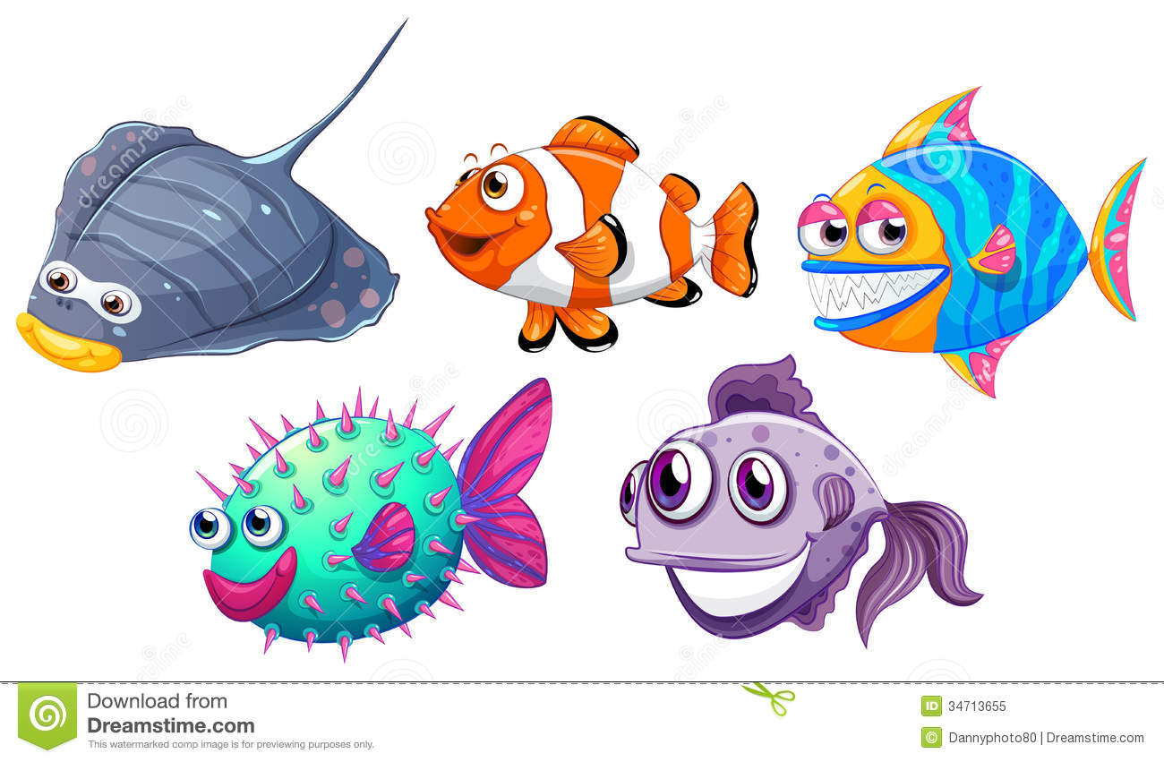 Five Different Fishes Royalty Free Stock Photo   Image  34713655