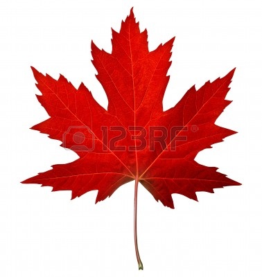 Leaf Canadian Maple Leaf Outline Calendar 2013 Canadian Maple Leaf