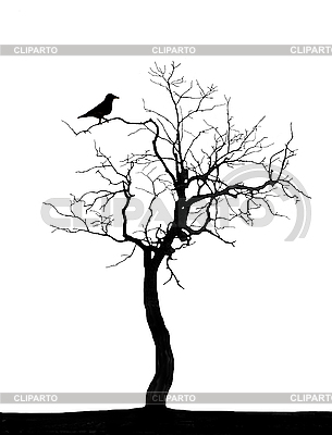 Raven On The Dead Tree   High Resolution Stock Illustration   Cliparto