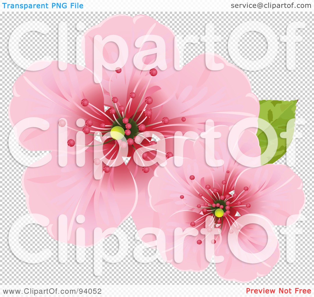 Royalty Free  Rf  Clipart Illustration Of Two Pink Cherry Blossom
