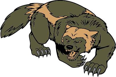 Wolverine Clipart   Cliparts Co