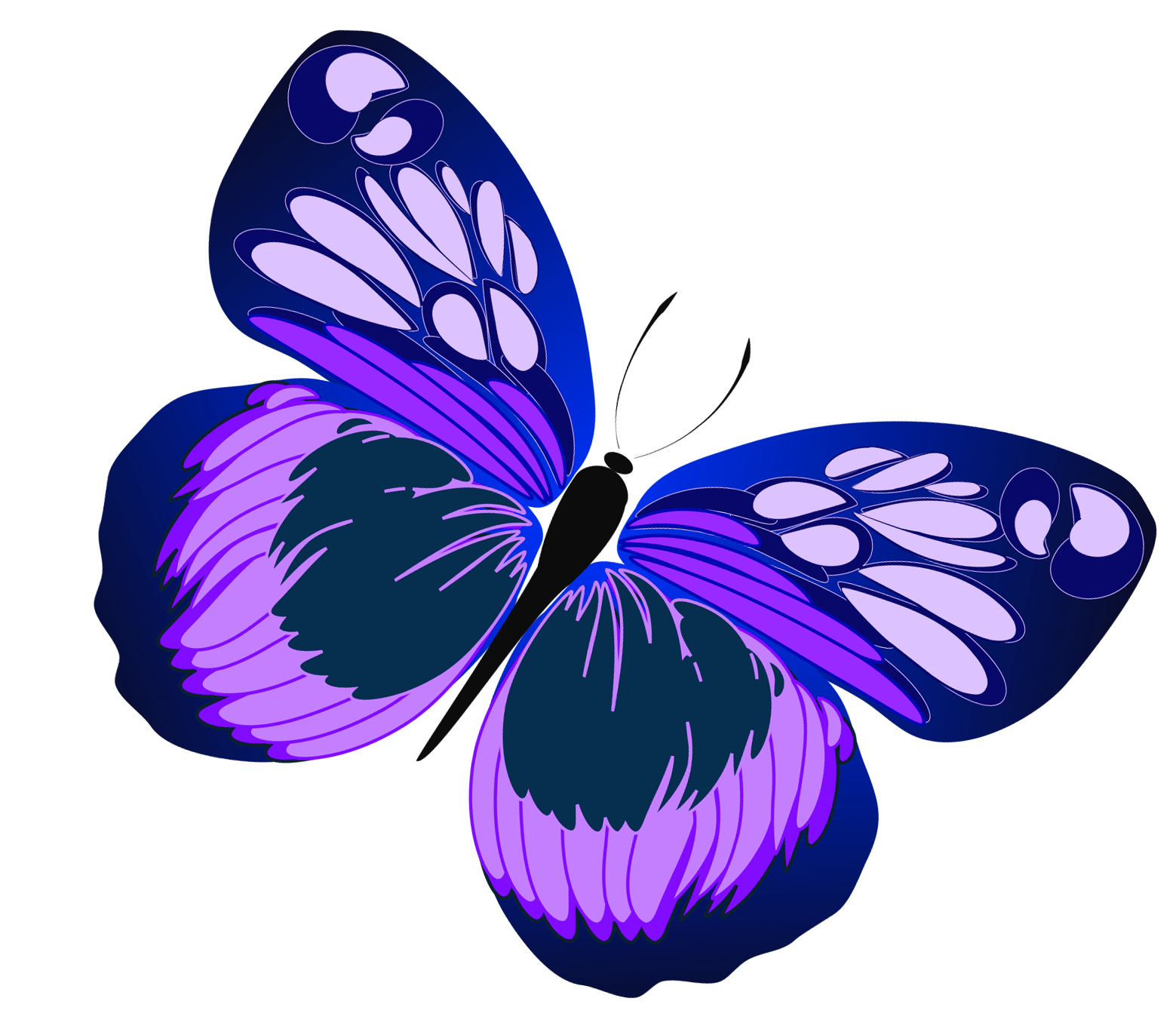 And Purple Butterfly Clipart   Clipart Panda   Free Clipart Images