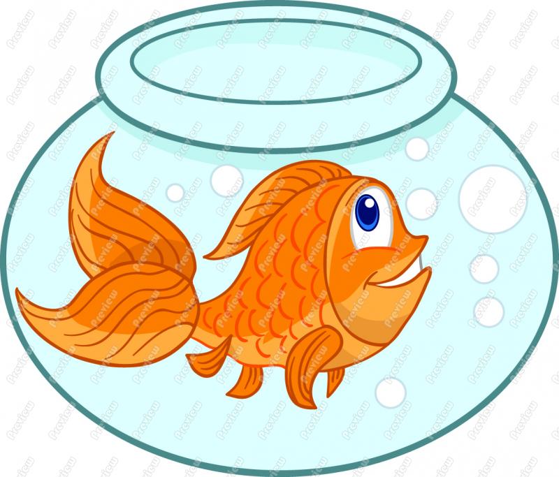 Cartoon Goldfish Clip Art   Gold Fish Clipart