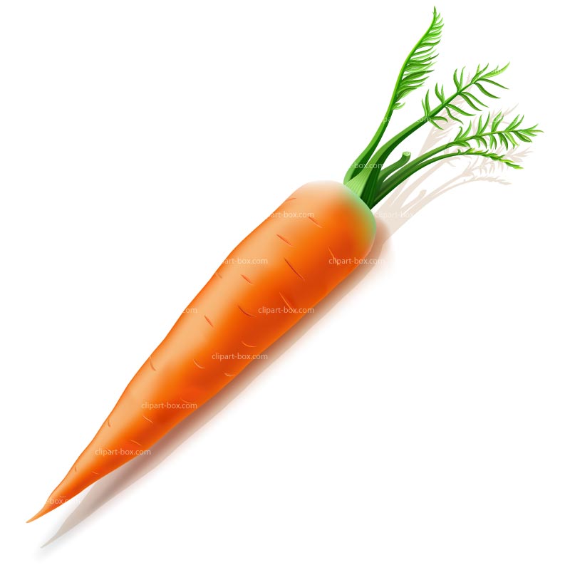 Clipart Carrot   Royalty Free Vector Design
