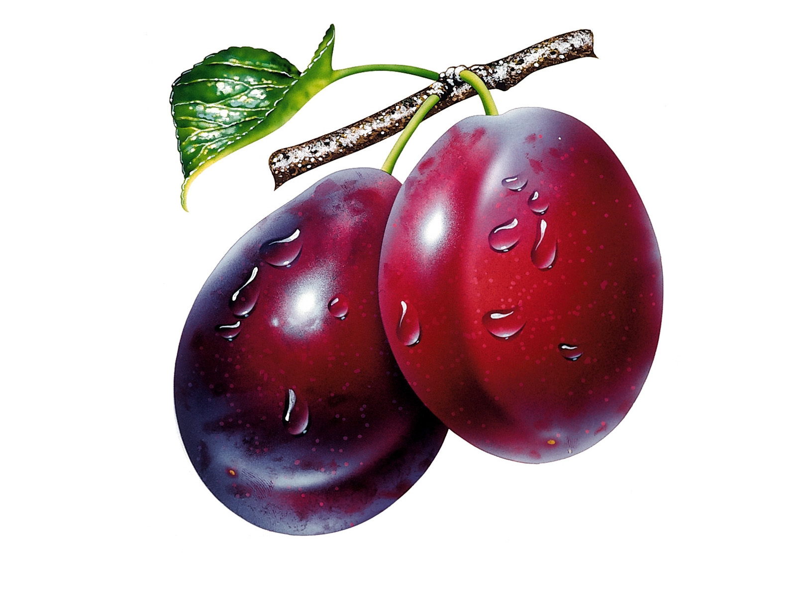 Fruit 5   Free Images At Clker Com   Vector Clip Art Online Royalty