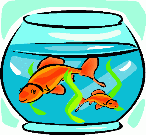 Goldfish Clipart   Goldfish Clip Art
