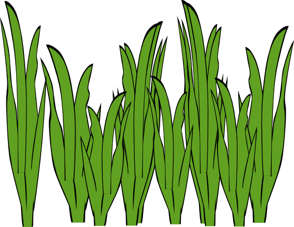 Grass Clipart Black And White   Clipart Panda   Free Clipart Images