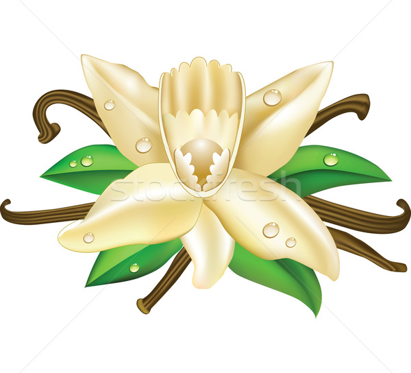 Pin Free Flower Clip Art Favorite Links Store Free Flower Clip Art 2