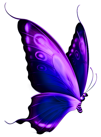 Purple Butterfly Clipart   Clipart Panda   Free Clipart Images