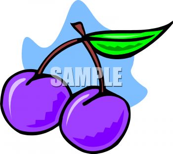 This Plums Clipart Image Is   Clipart Panda   Free Clipart Images