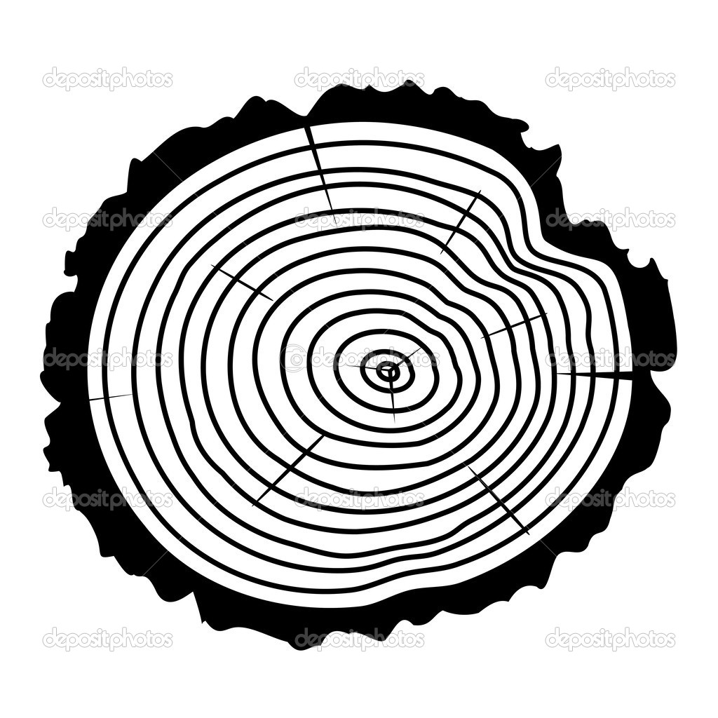 Vector Wooden Cut Of A Tree Log   Stock Vector   Dmstudio  40337931