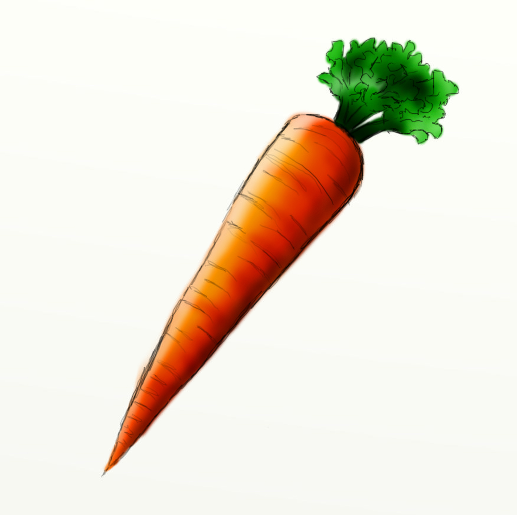Way To Describe Today  A Carrot  I Drew This Quick Sketch Of A Carrot    