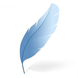 Color Feather Isolated 2   Stock Illustration   Freeimages