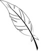 Coloring Page Images Feather Pictures Feather Clipart Concept Pictures