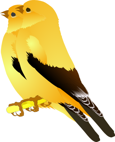 Companions Birds Of A Feather Clip Art At Clker Com   Vector Clip Art