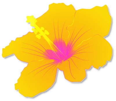 Hawaiian Clip Art Hawaiian Flower Hawaiian Luau Vintage Hawaiin