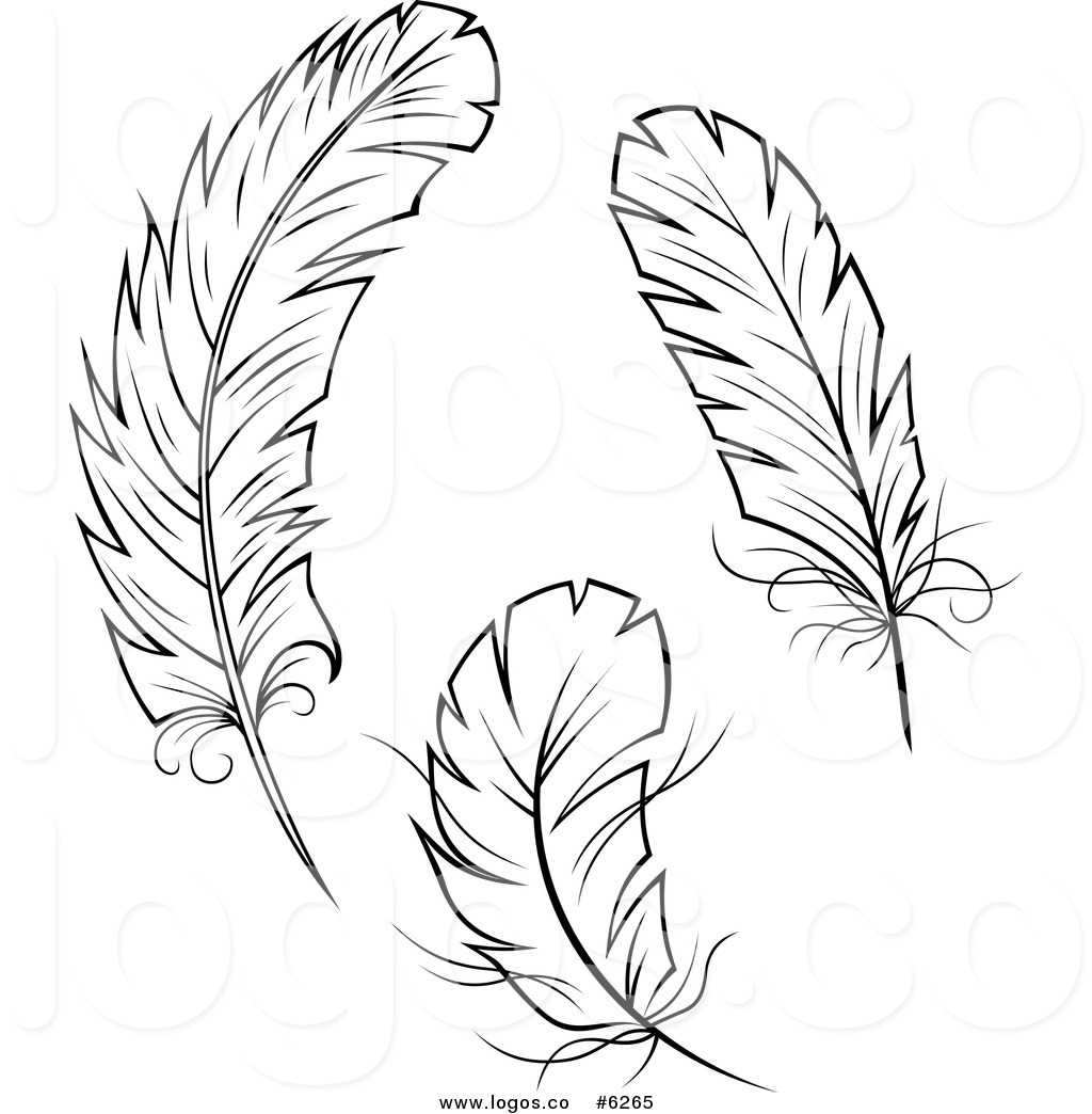 Logos Of Black And White Feathers