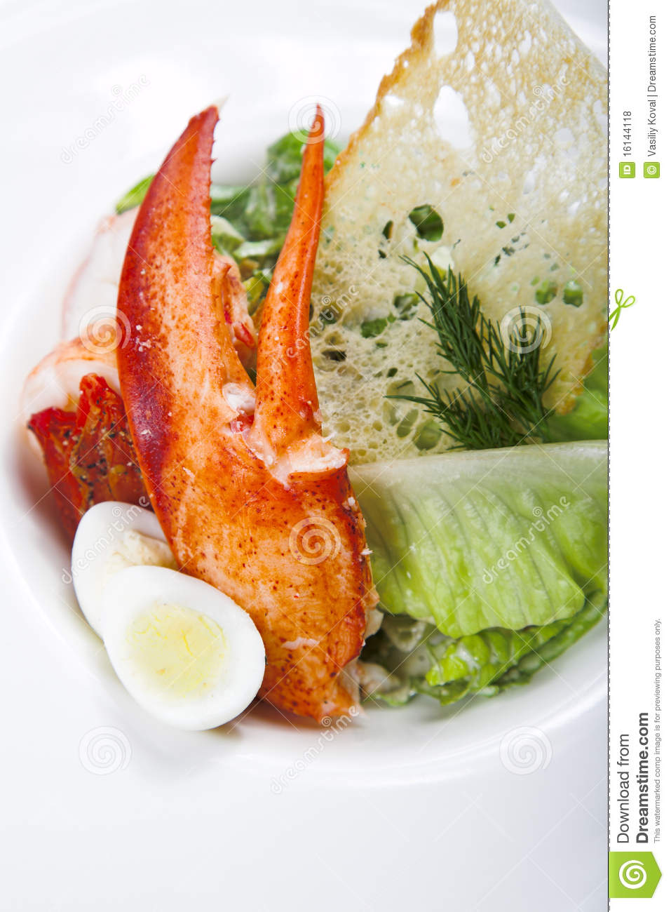 Crab Claw Royalty Free Stock Photos   Image  16144118