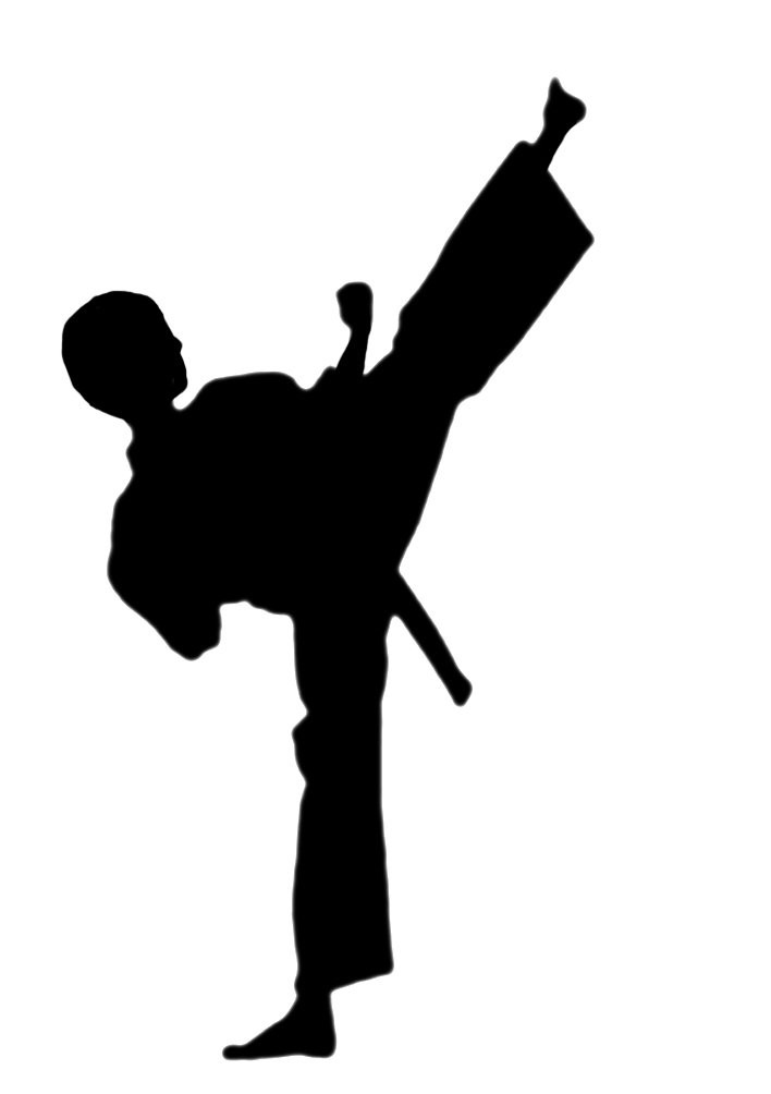 Martial Arts Female Silhouette Karate Clipart Silhouette