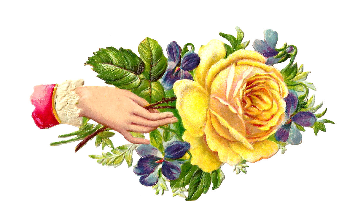 Antique Images  Free Flower Graphic  Yellow Rose Clip Art Victorian