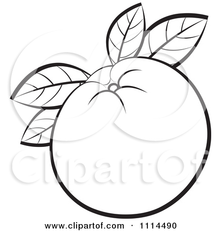 Orange Clipart Black And White   Clipart Panda   Free Clipart Images