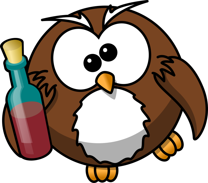 Drunk Owl By Bocian   Owl And A Bottle Of Alcohol