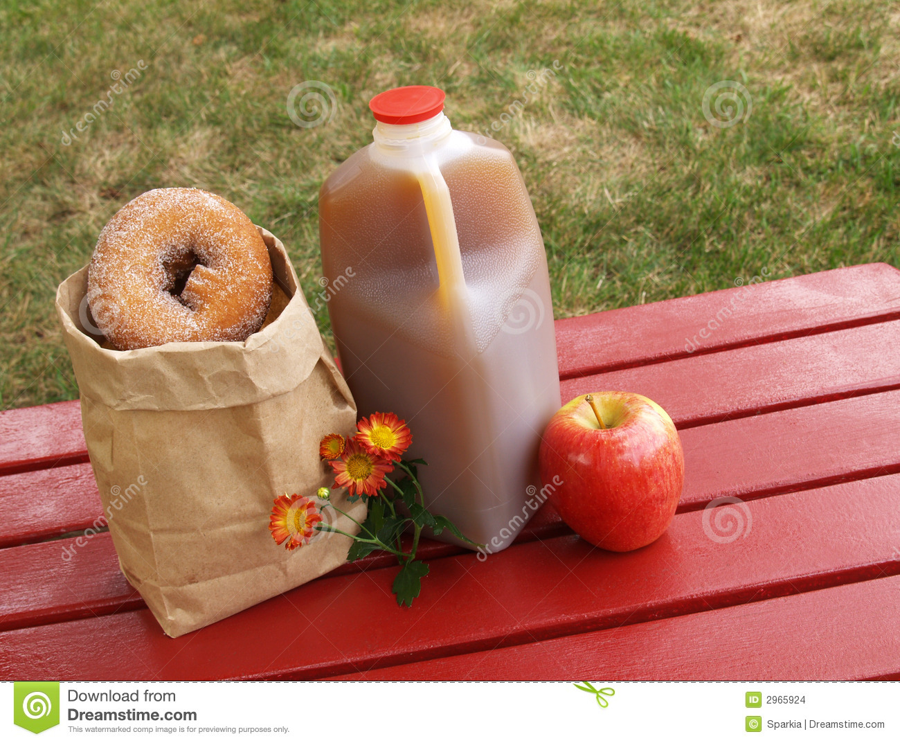 Fall Scene   Apple Cider Donuts And An Apple 
