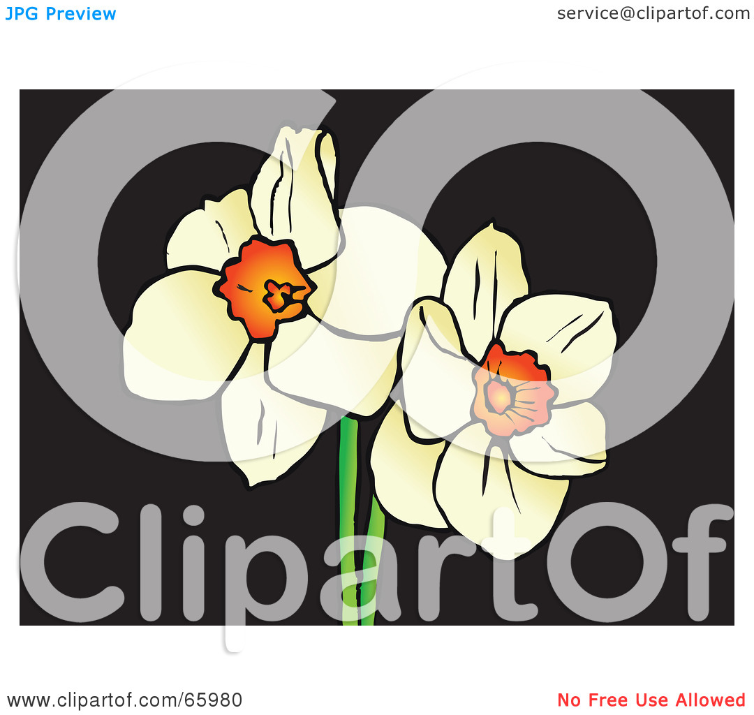 Free Clipart Images Care For Daffodils After Blooming Royalty Free Rf