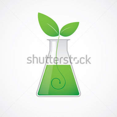 Source File Browse   Nature   Chemical Test Tube With Green Plant
