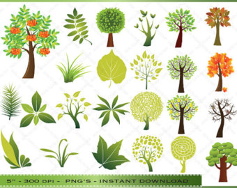 Tree And Leaf Clipart   Trees And L Eaves Clip Art Images   For