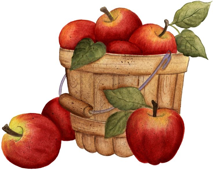 Yahoo Image Basket Of Apples   Apple Clip Art   Pinterest   Apples
