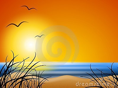 Beach Sunset Clipart Wallpapers Sunny Summer Beach Background