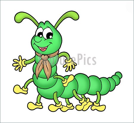 Collor Illustration Of Green Centipede