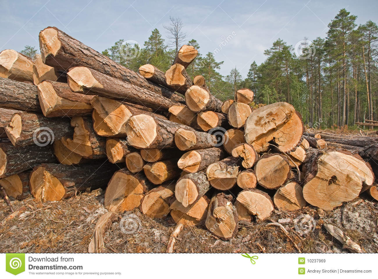 Sawmill Royalty Free Stock Images   Image  10237969