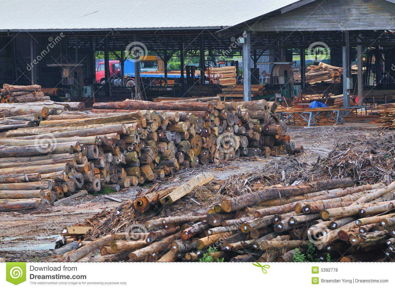 Timber Sawmill Series 5 Royalty Free Stock Photos   Image  5392778